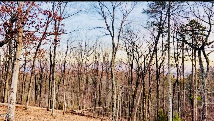 Property Photo: 159 Summit Trails Drive TN 37862