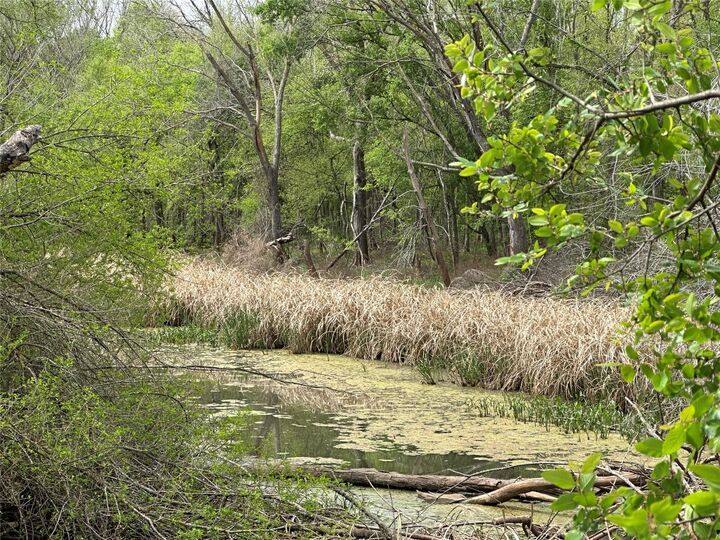 Property Photo:  909 Fm 712  TX 76661 