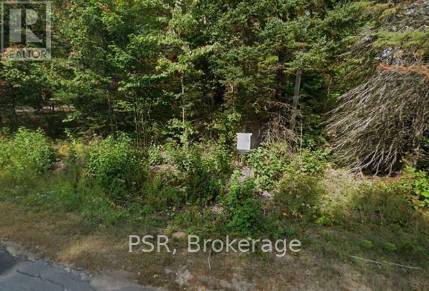 Property Photo:  Plot 143 Lot 12  ON P0A 1Y0 