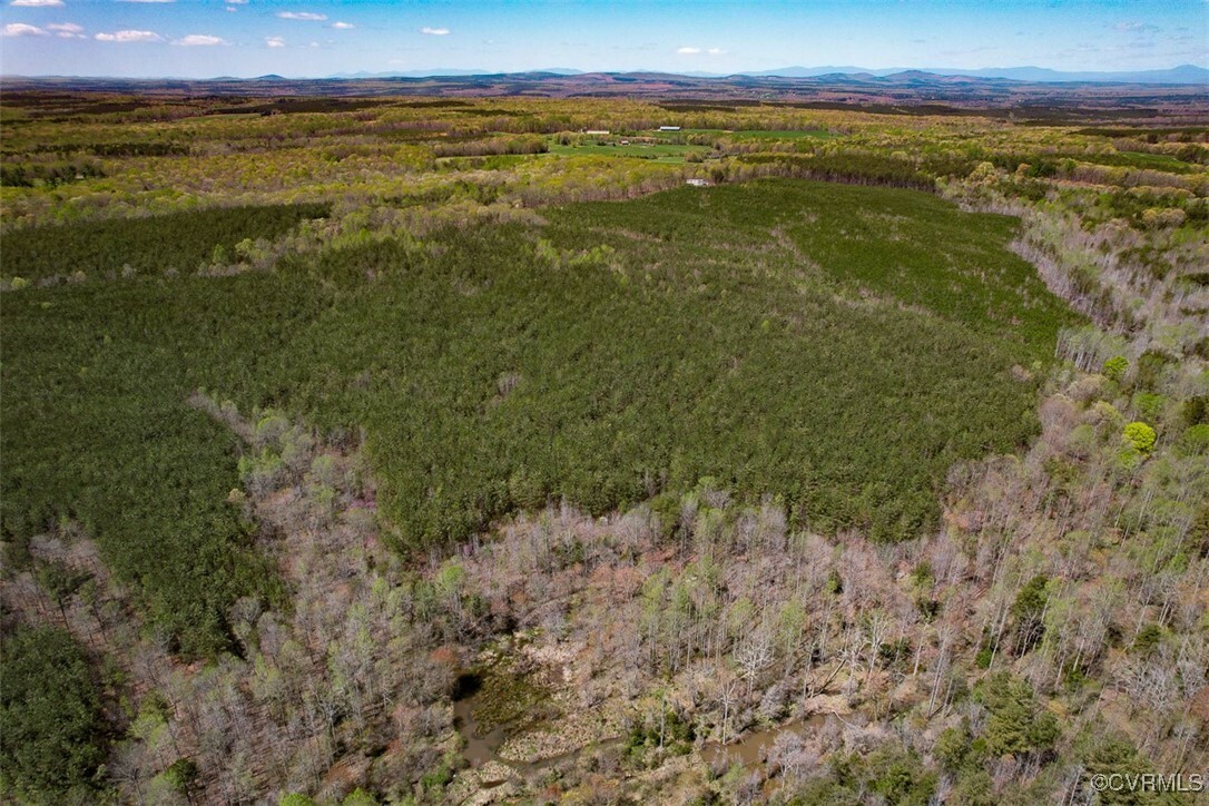 Property Photo: 116.32 Acres Gilliam Mill Road VA 23936