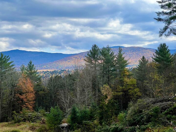 Property Photo: 00 Needle Leaf Lane VT 05672