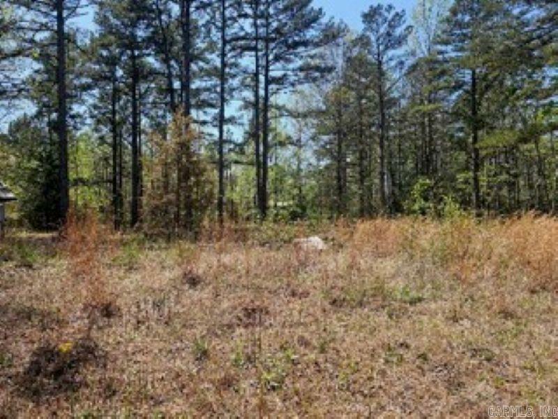 Property Photo: 45 Black Lane AR 72067