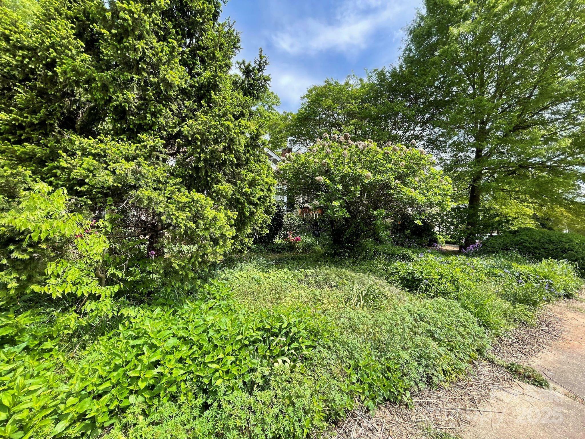 Property Photo: 2221 Westminster Place NC 28207