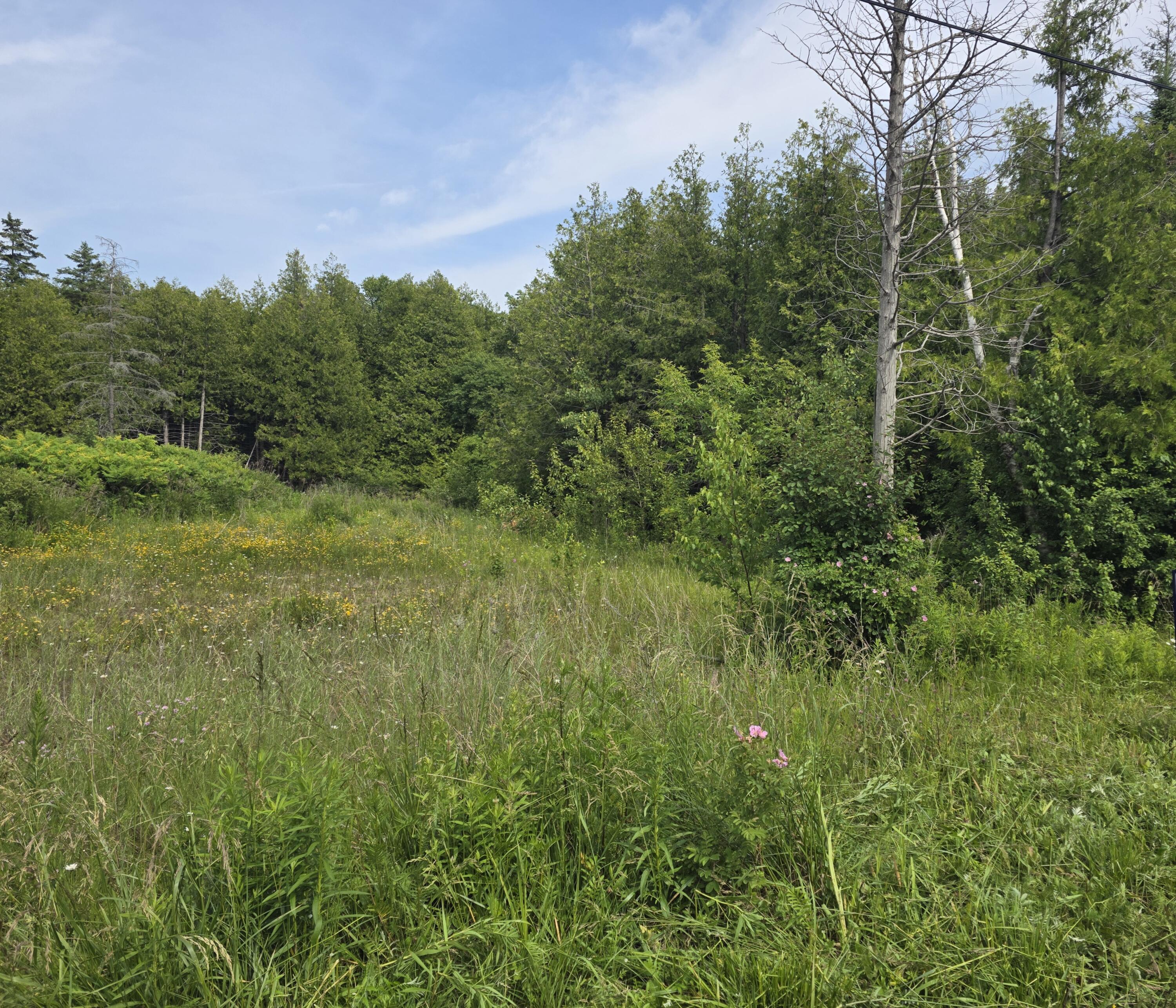 Property Photo: 00 Chambers St MI 49781