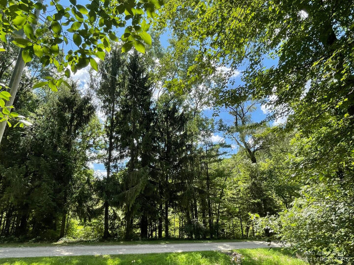 Property Photo:  20692 Hidden Lake Drive  MI 48137 