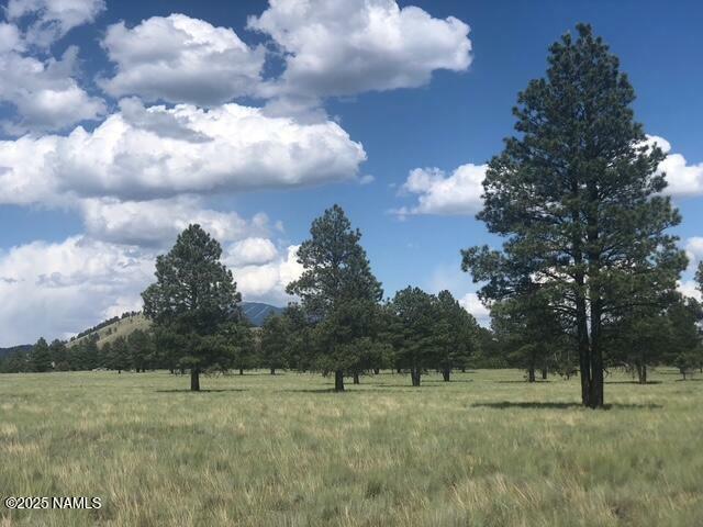 Property Photo: 2700 Forrest Ranches Loop AZ 86018