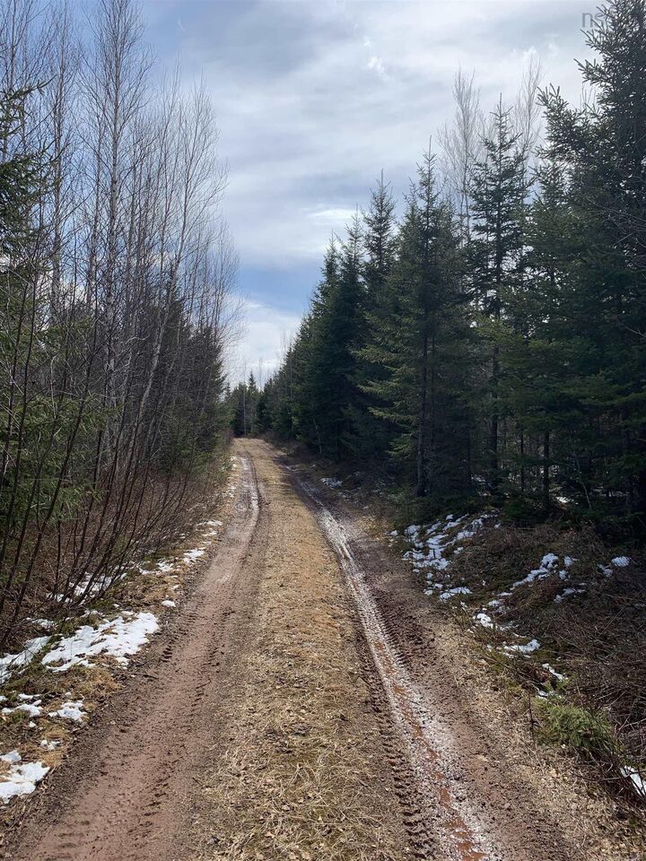 Property Photo:  Lot Hunter West Road Wentworth Valley Preserve  NS B0M 1Z0 
