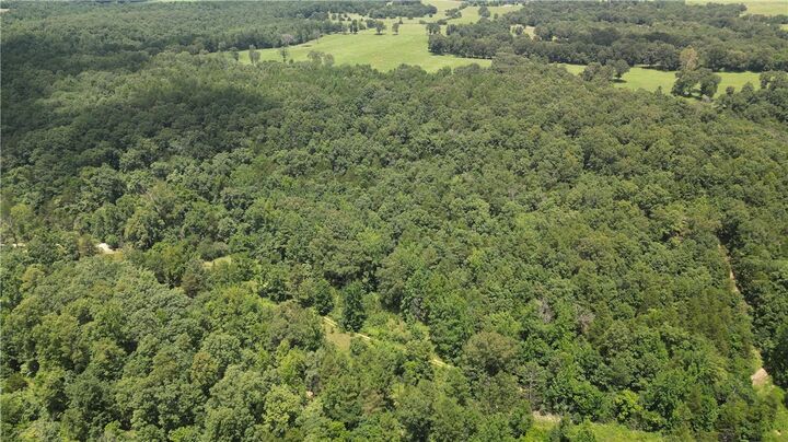 Property Photo: 881 Driftwood Drive AR 72566
