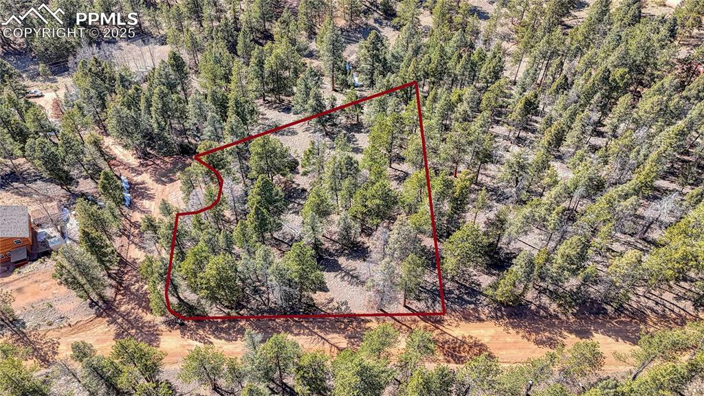 Property Photo: 81 Garnet Way CO 80816