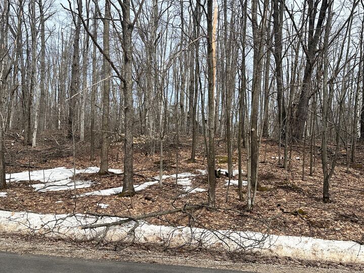 Property Photo:  Lot# 1937 Bob White Way  MI 49735 
