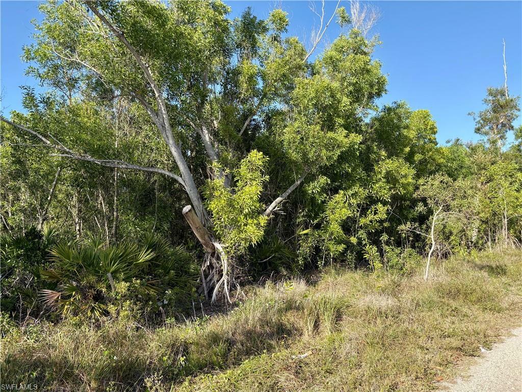 Property Photo: 5686 Sandal Ln FL 33922