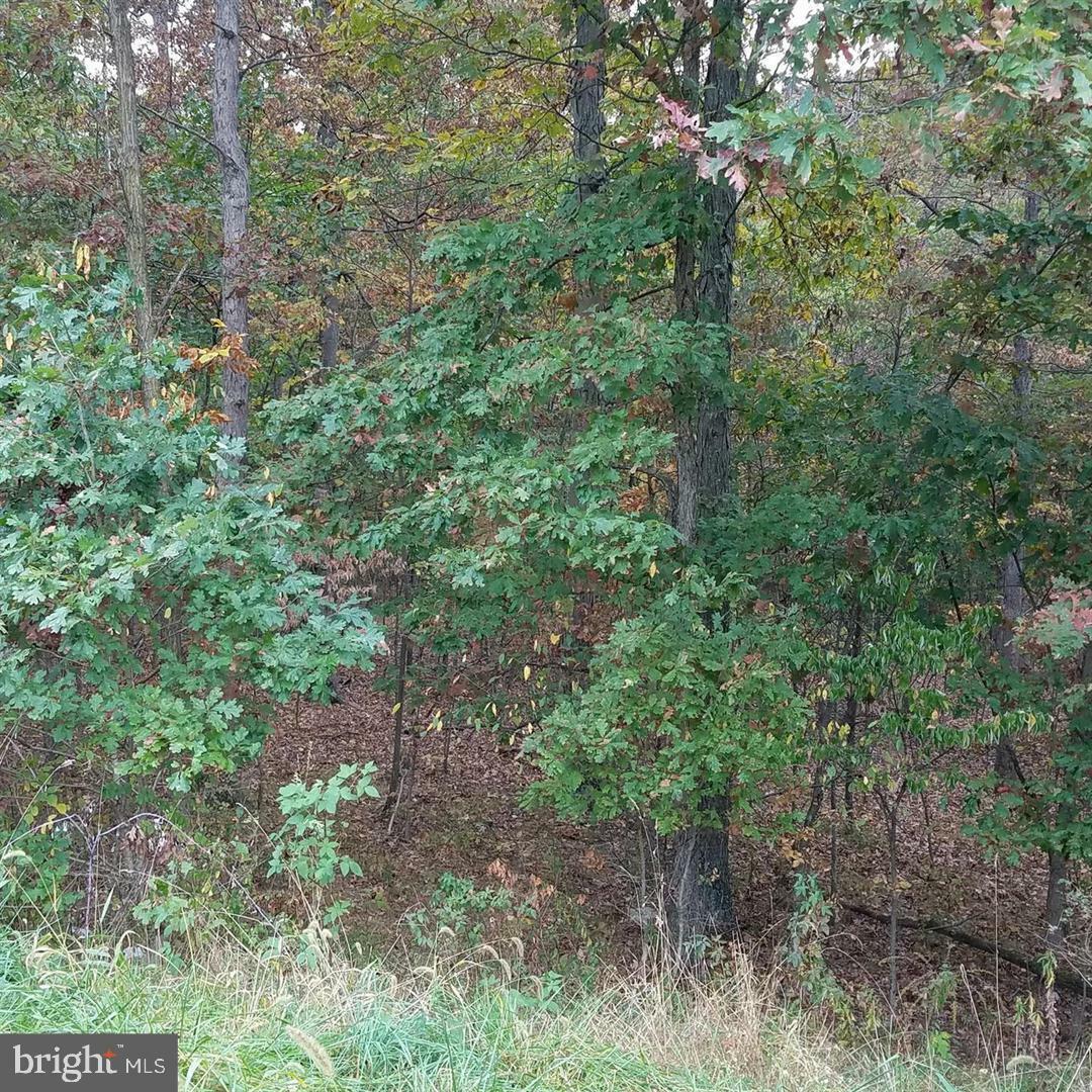 Property Photo:  13902 Rolling Oak Drive  MD 21529 