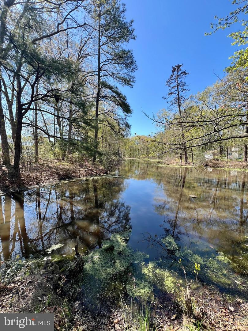 Property Photo: 219 Holly Way VA 22443