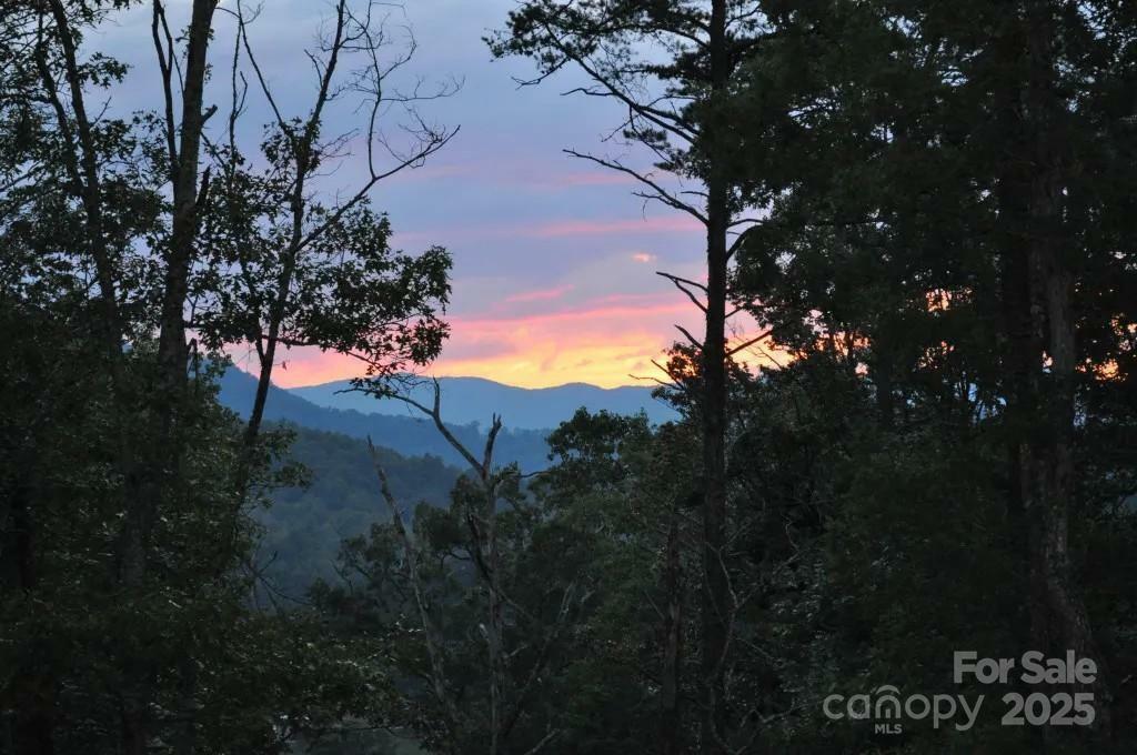 Property Photo: 213 Wimbledon Court NC 28748
