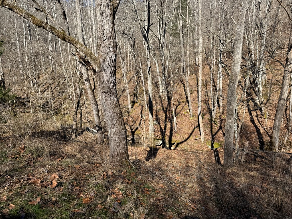 Property Photo:  1438 Mill Creek Road  KY 41666 