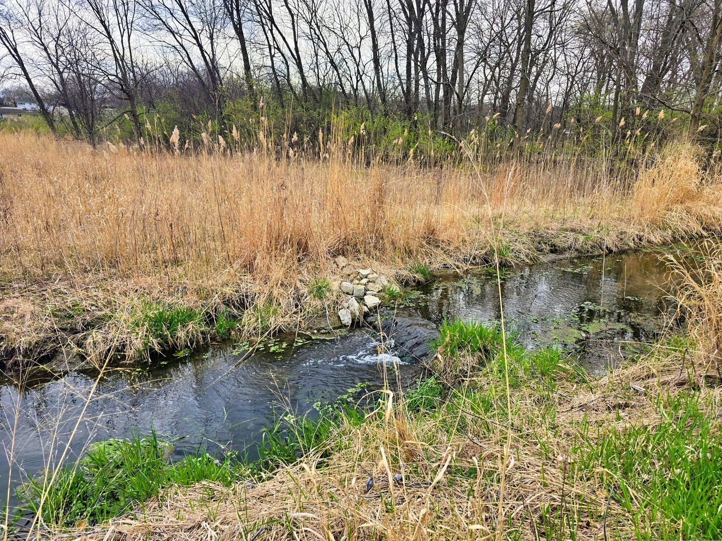 Property Photo: 140 River Mist Drive IL 60543