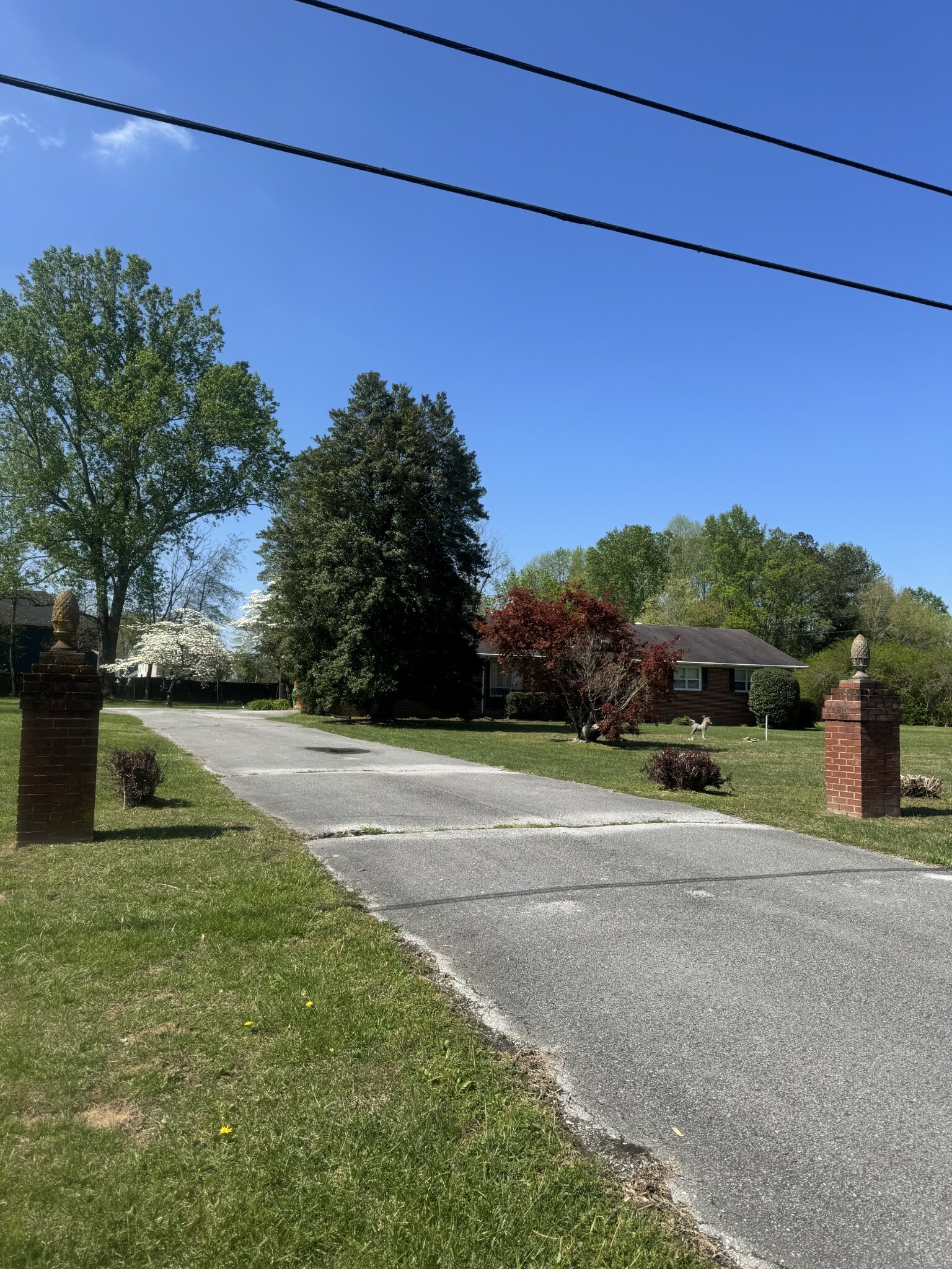 Property Photo: 2719 Murfreesboro Hwy TN 37355