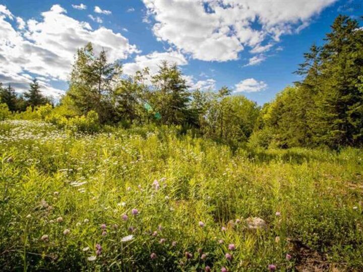 Property Photo:  Lot A6 Aylesford Road  NS B0P 1C0 