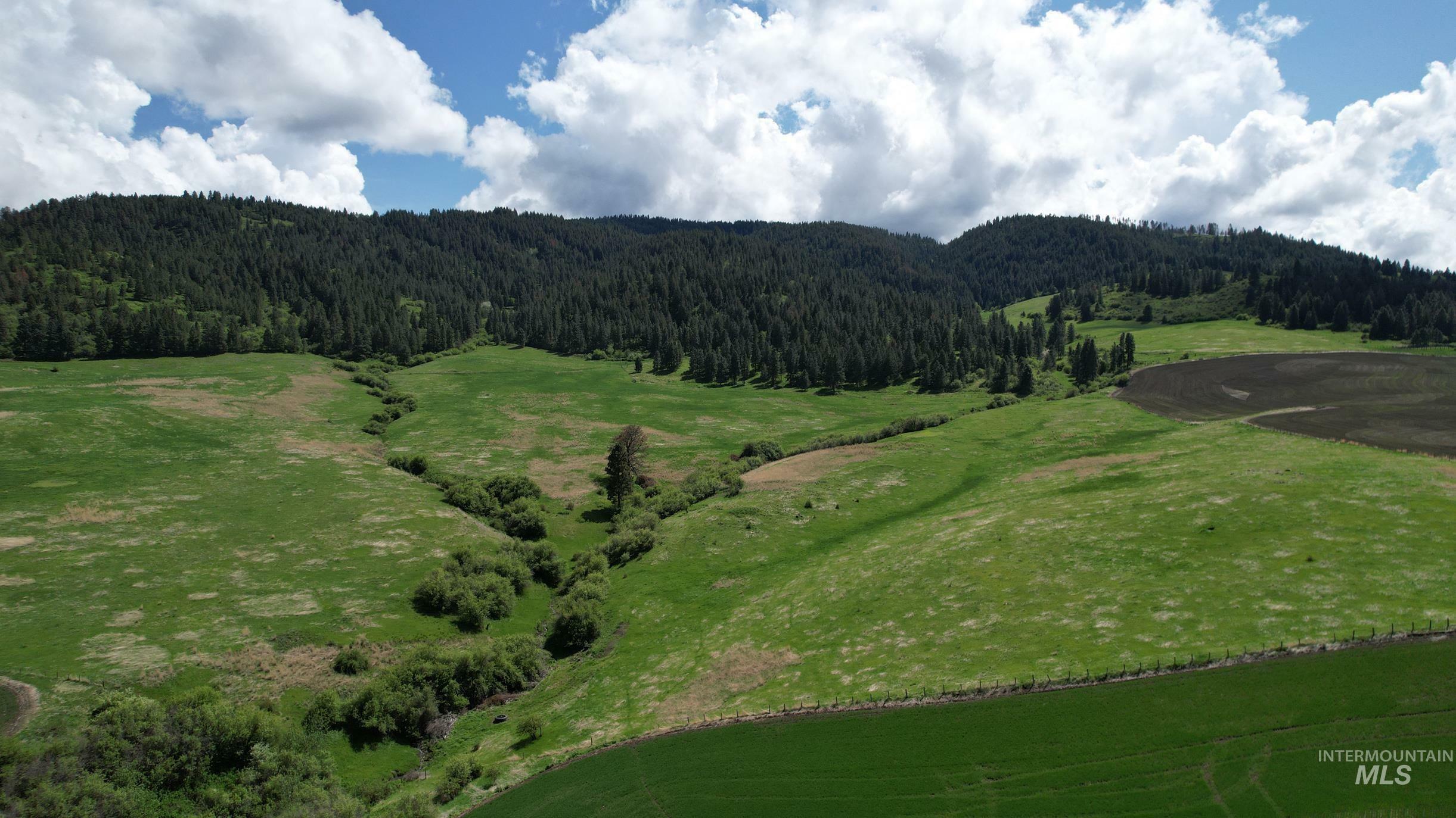 Property Photo: Tbd Slickpoo Road ID 83524