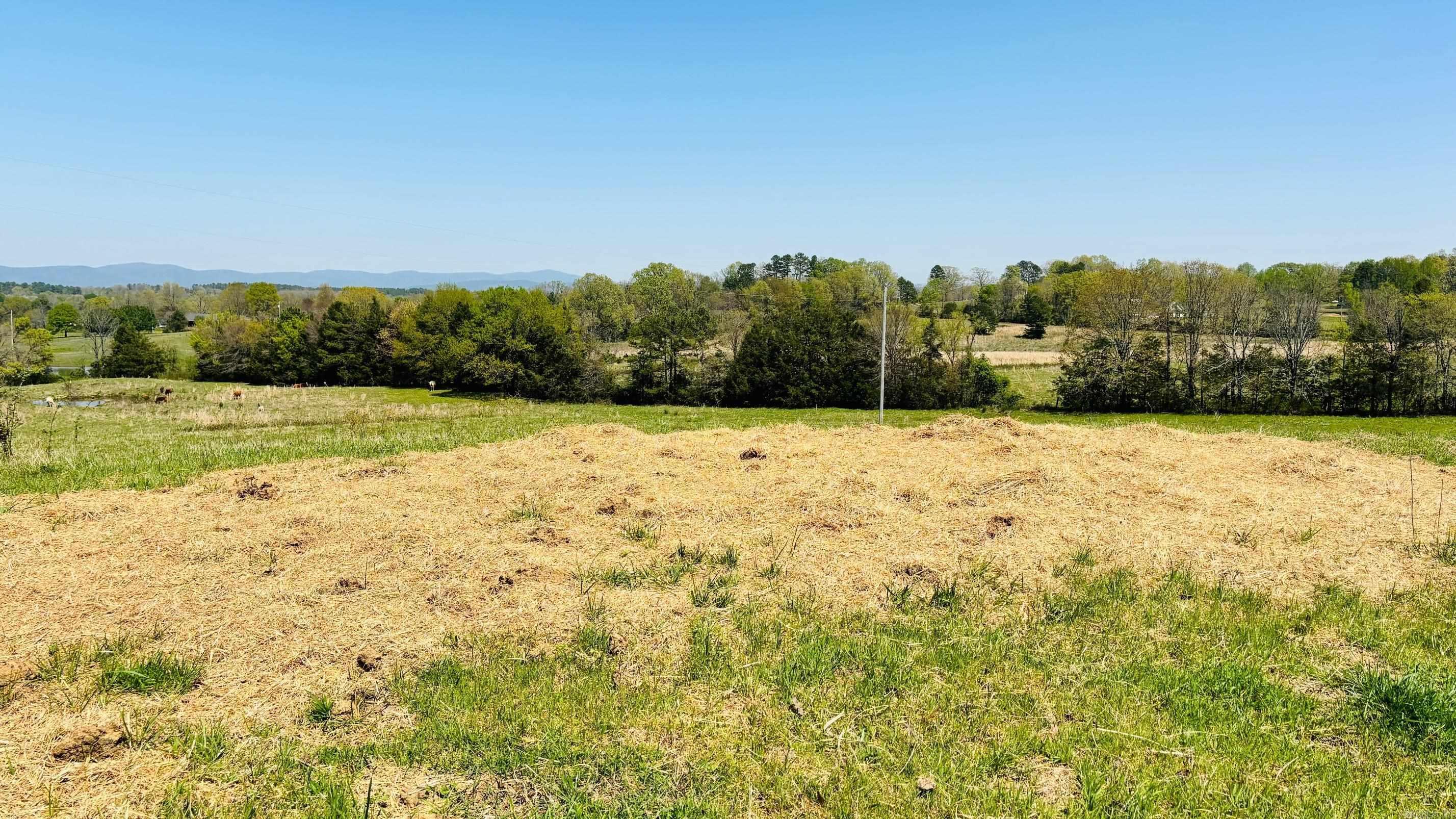 Property Photo:  Unk Rcc Lane And Polk 53  AR 71953 