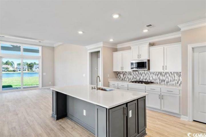 Property Photo: 712 Lapwind Loop SC 29579