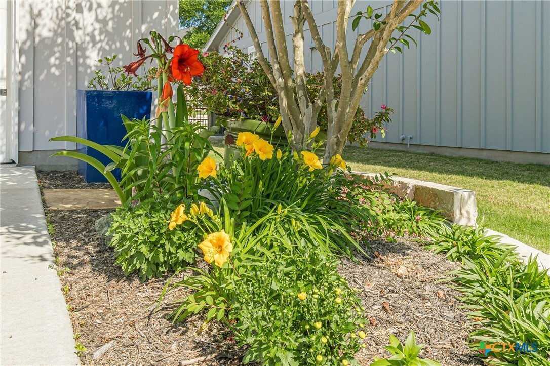 Property Photo: 123 Drawing Maple Street TX 78666