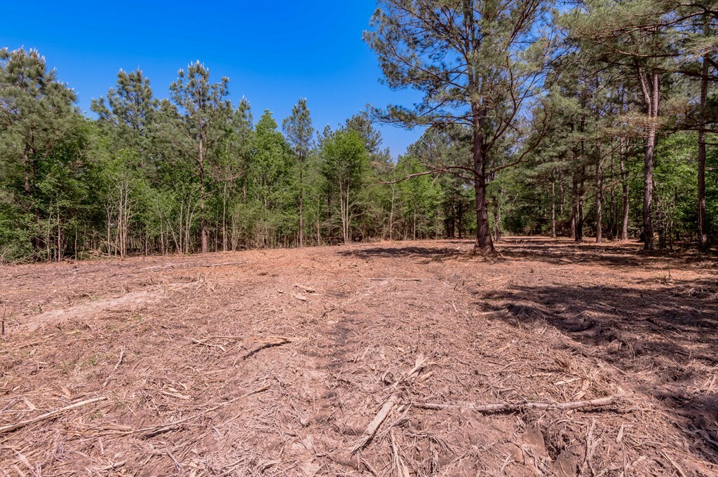 Property Photo: 6077 Tract 4 Cr 4200 TX 75856