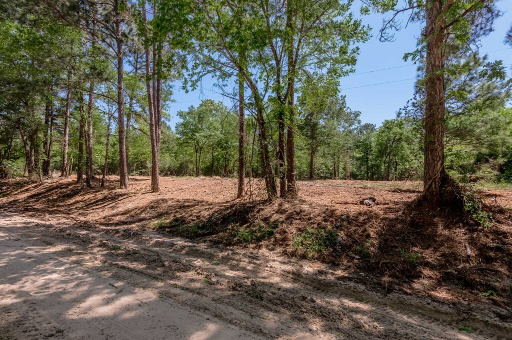 Property Photo: 6077 Tract 1 Cr 4200 TX 75856