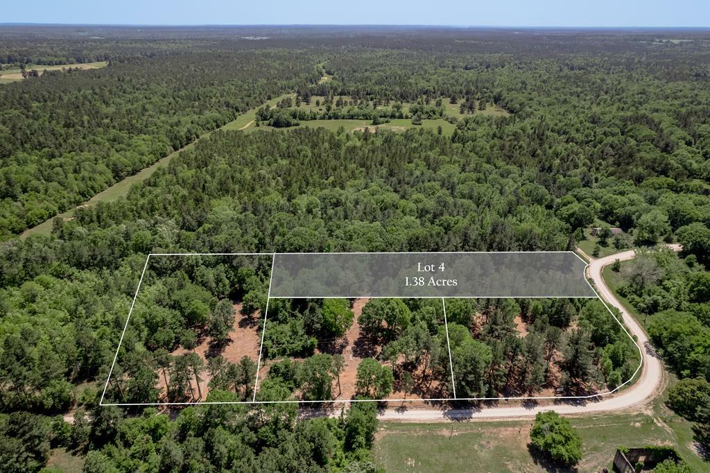 6077 Tract 4 Cr 4200  Pennington TX 75856 photo