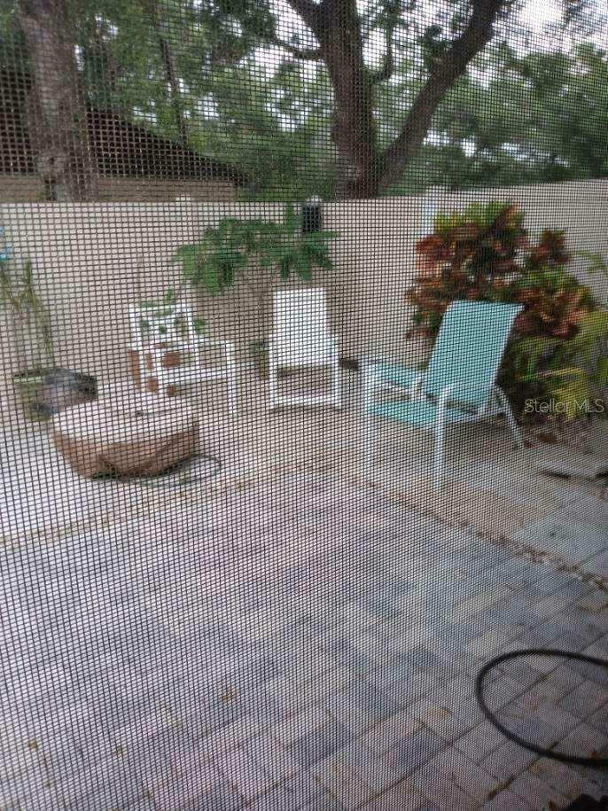 Property Photo: 6203 Pina Colada Court None FL 33634