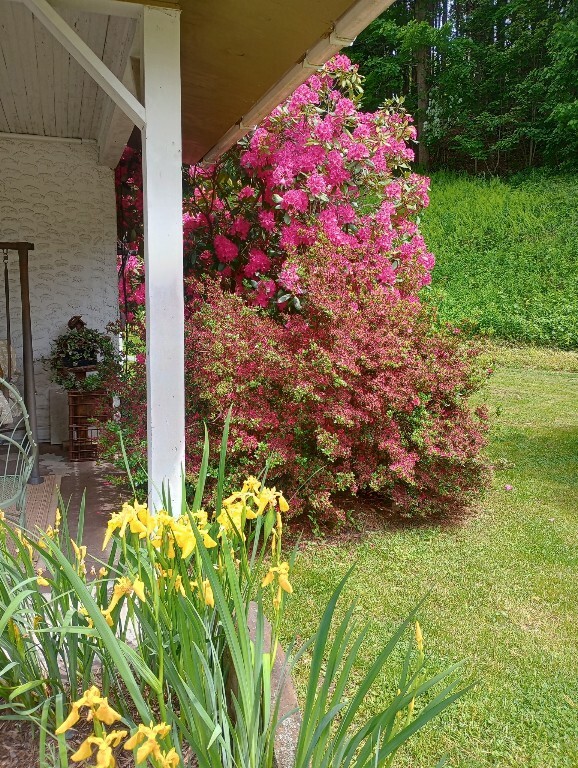 Property Photo: 6 State Line Road NY 13865