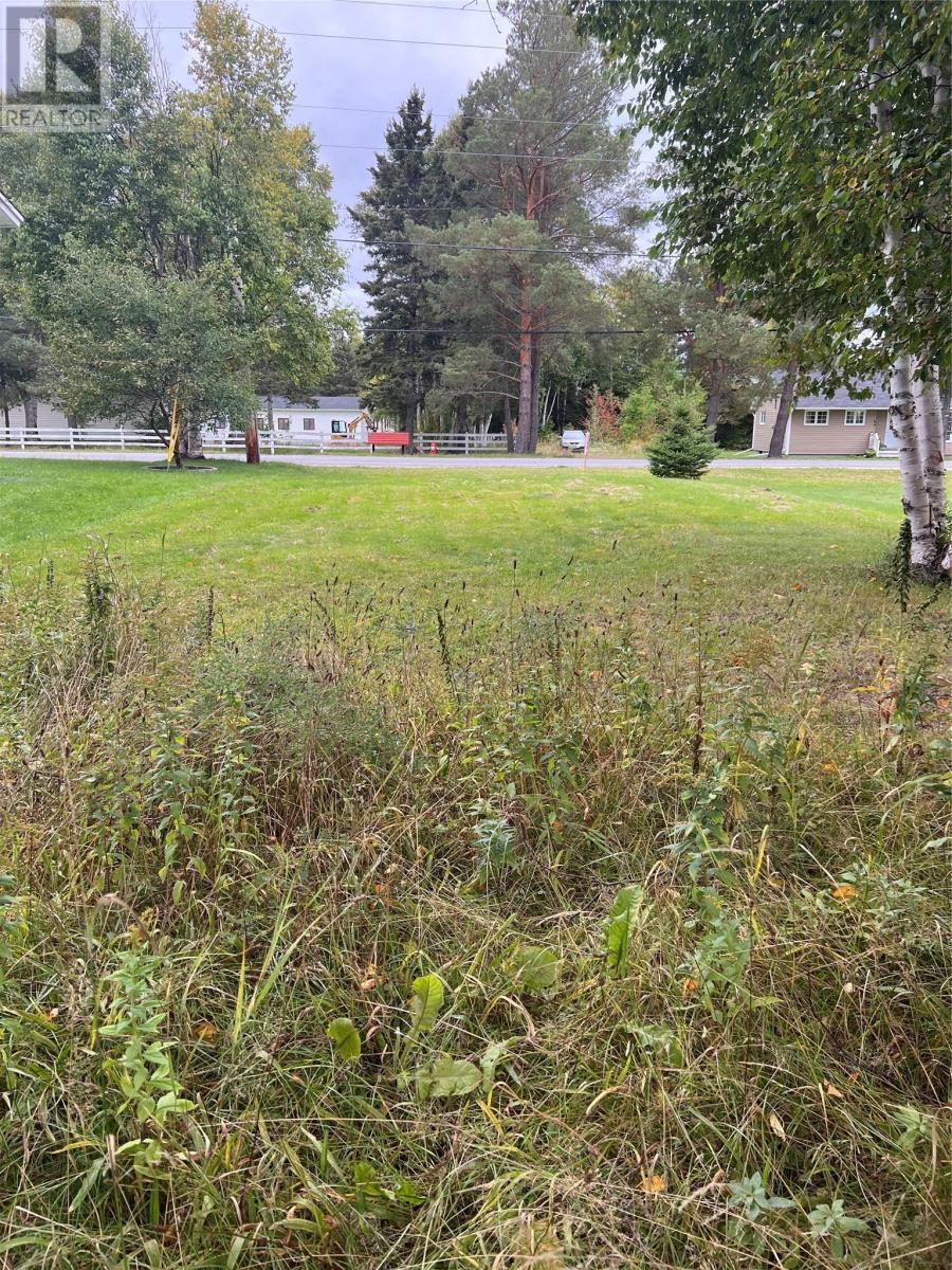 Property Photo:  106 A Midland Row  NL A0L 1K0 