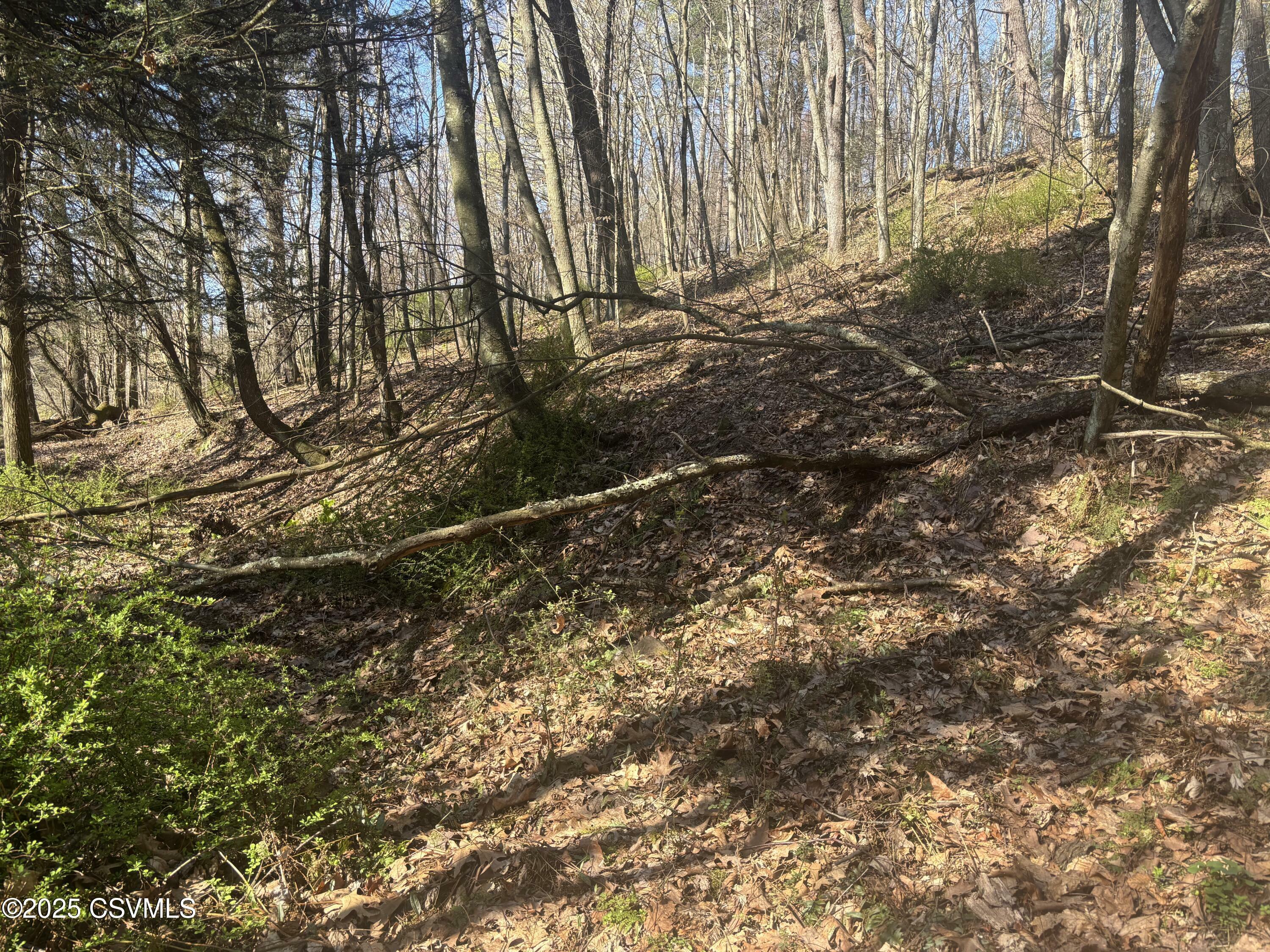 Property Photo: Mellick Hollow Road PA 17815