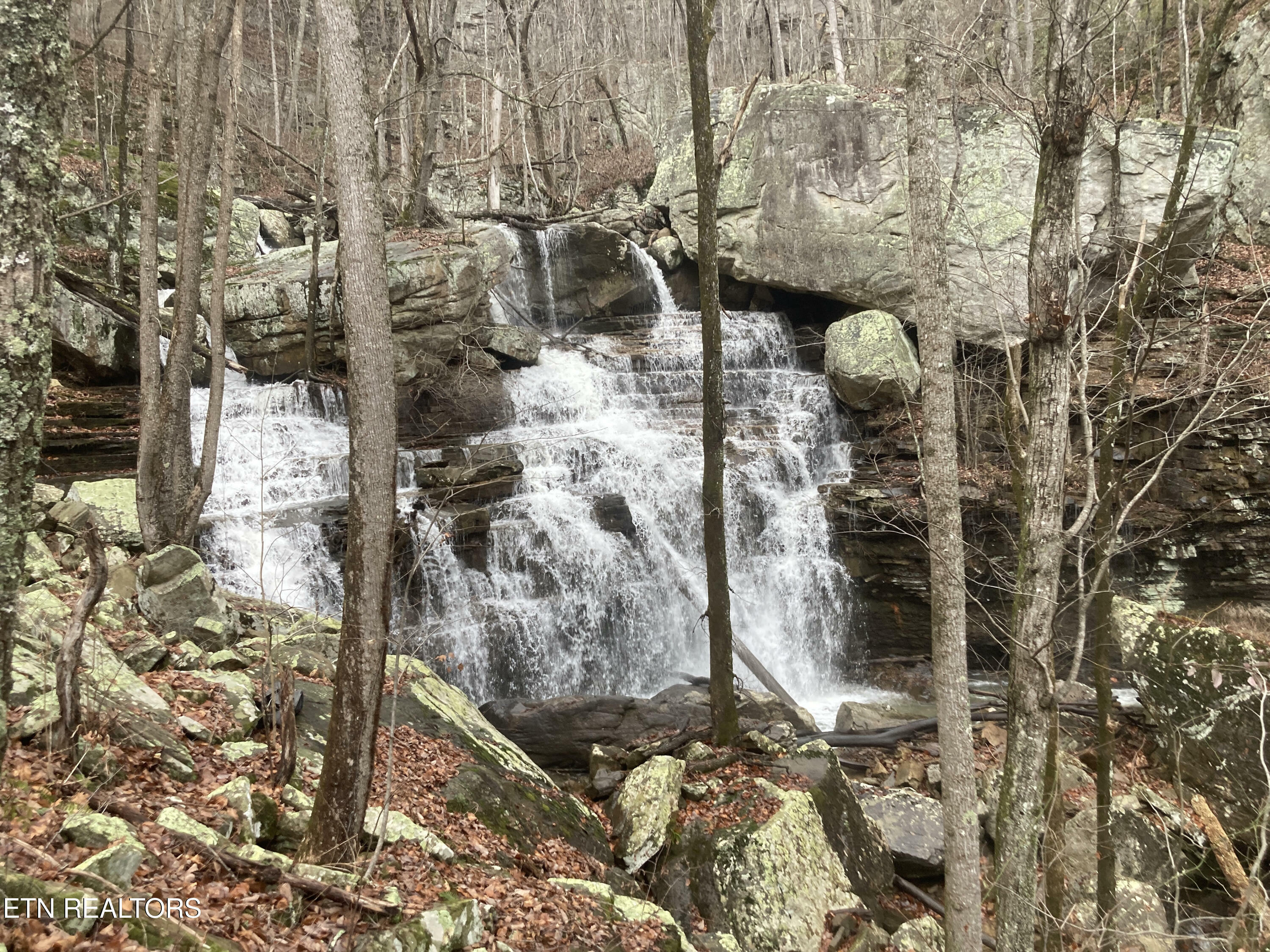Property Photo:  Old Spencer Rd. - 198 Acres  TN 37367 