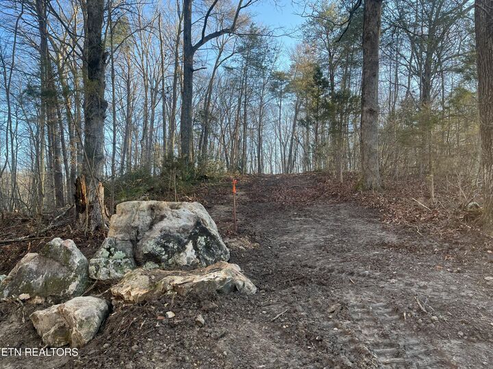 Property Photo:  Old Spencer Rd. - 172 Acres  TN 37367 