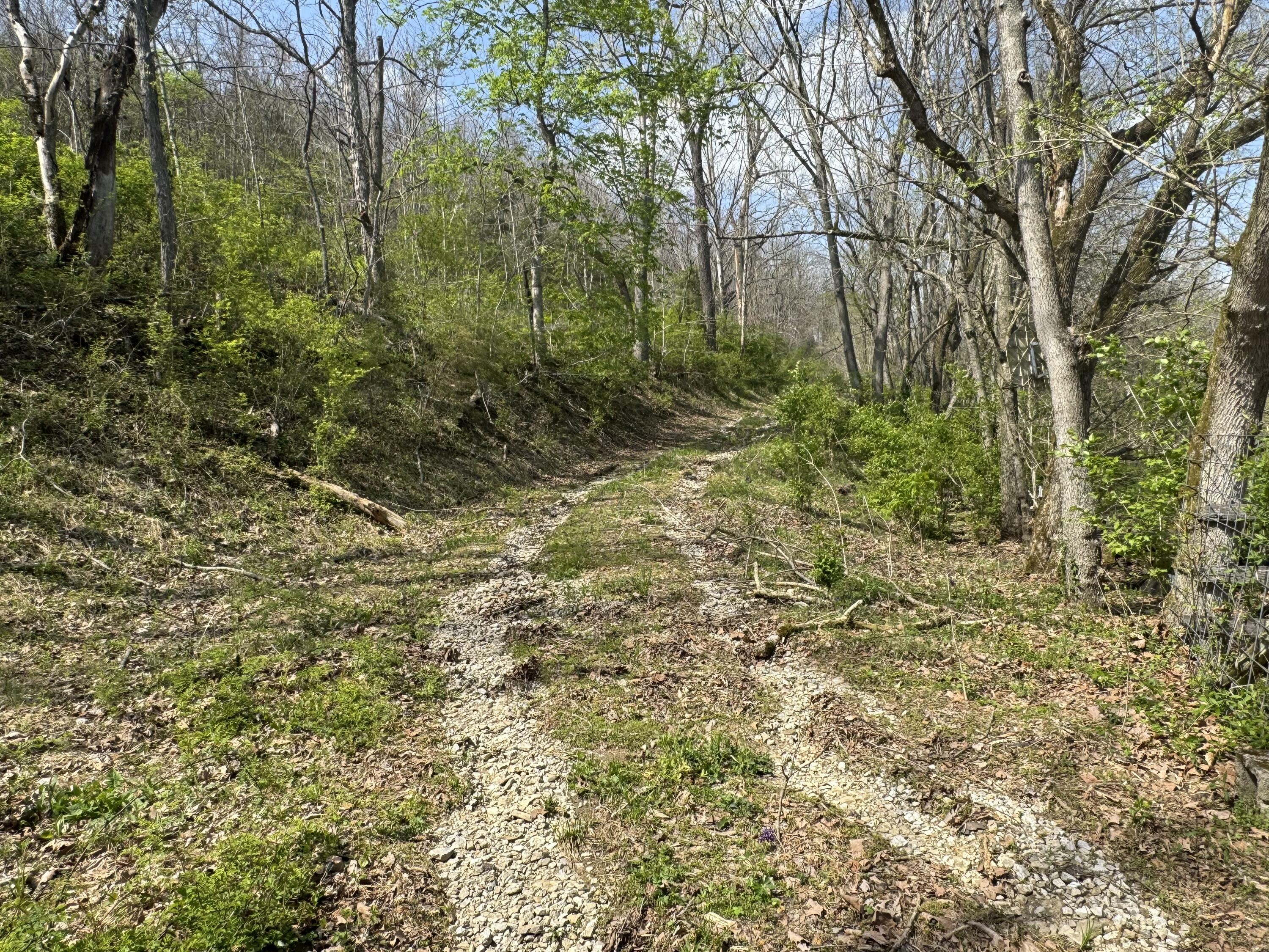 Property Photo: 0000 Tates Creek Road KY 40475