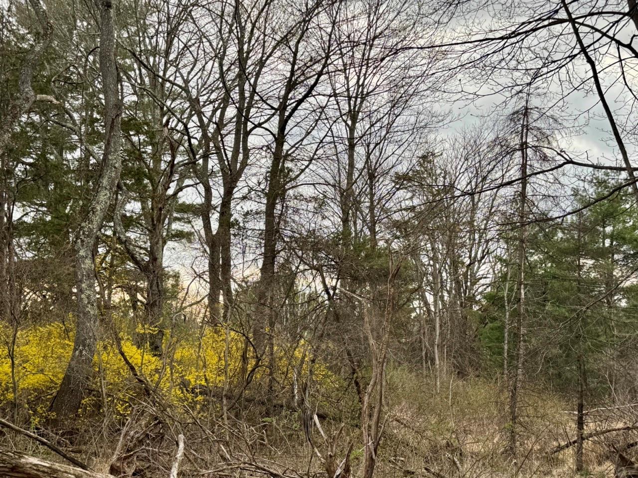 Property Photo: 0 Smith Road NY 12603