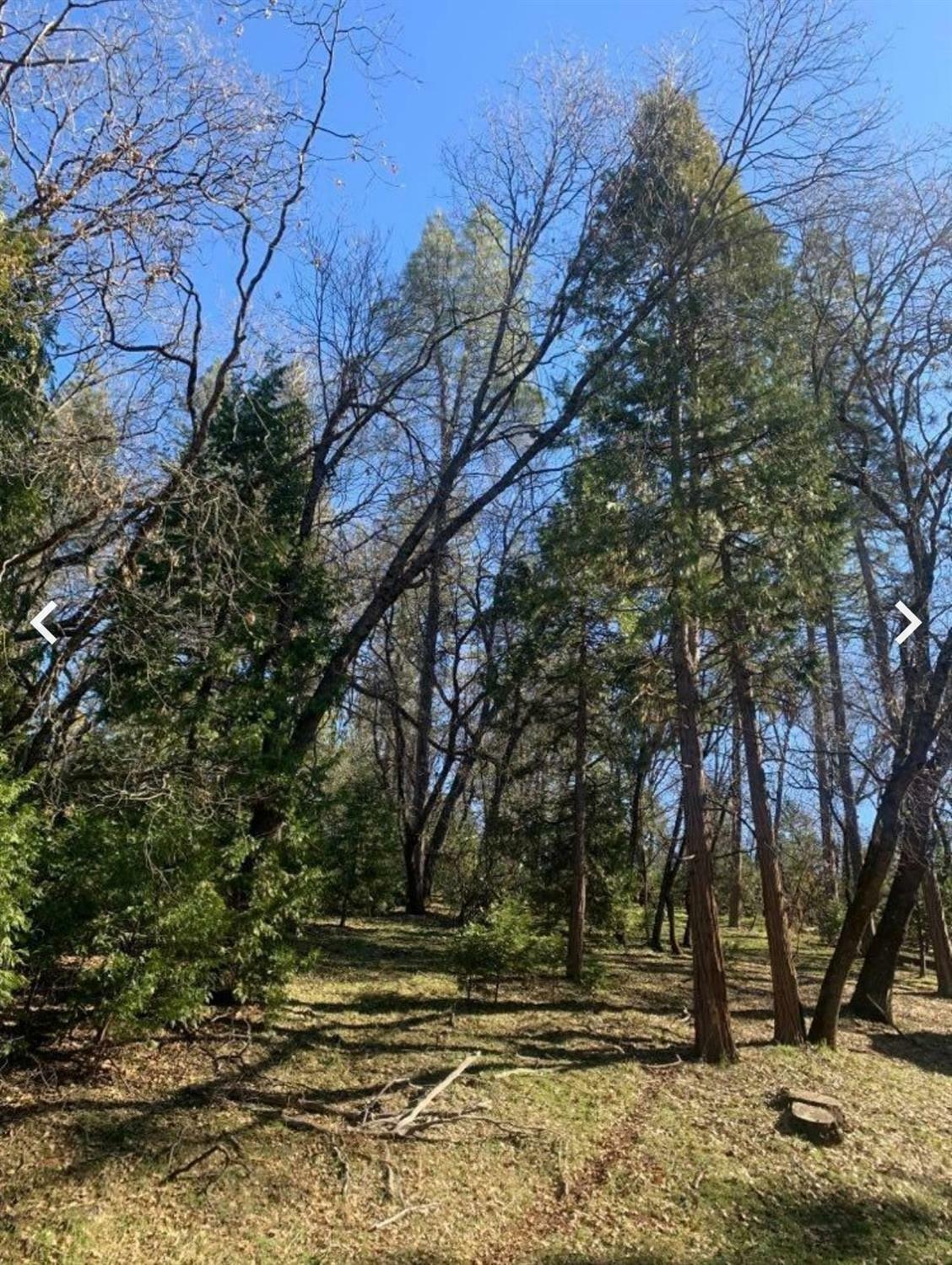 Property Photo: 22123 Thunderbolt Dr CA 95370