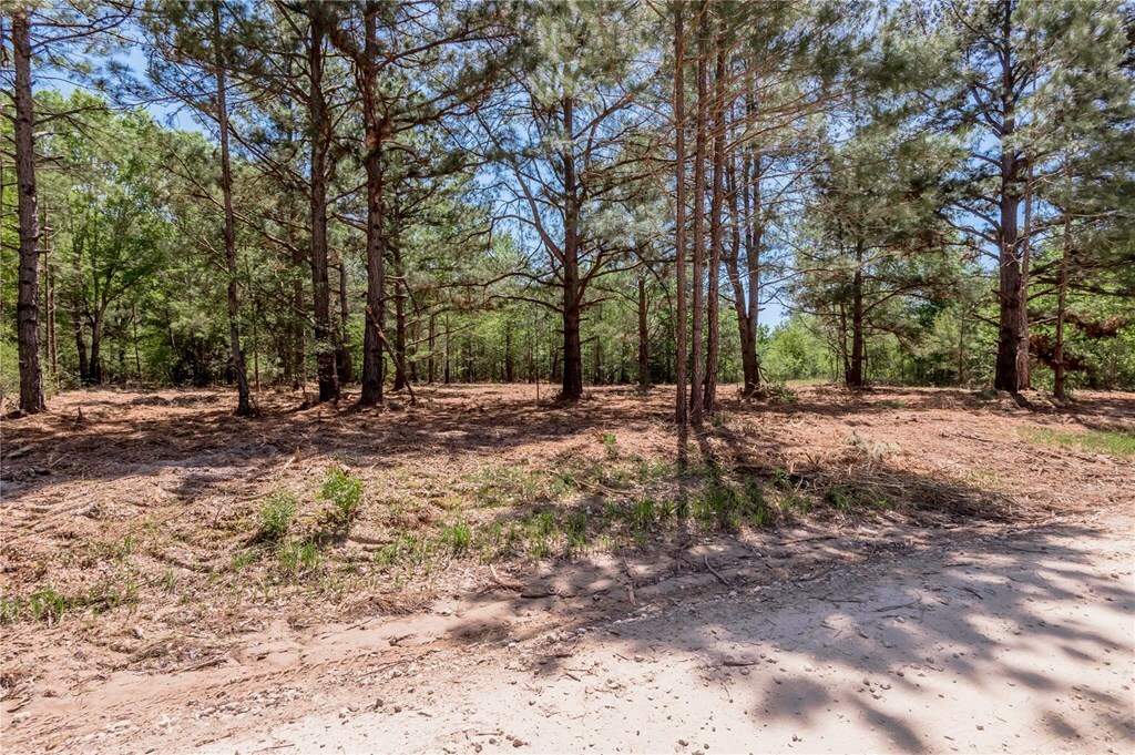 Property Photo: T3 6077 Cr 4200 TX 75856