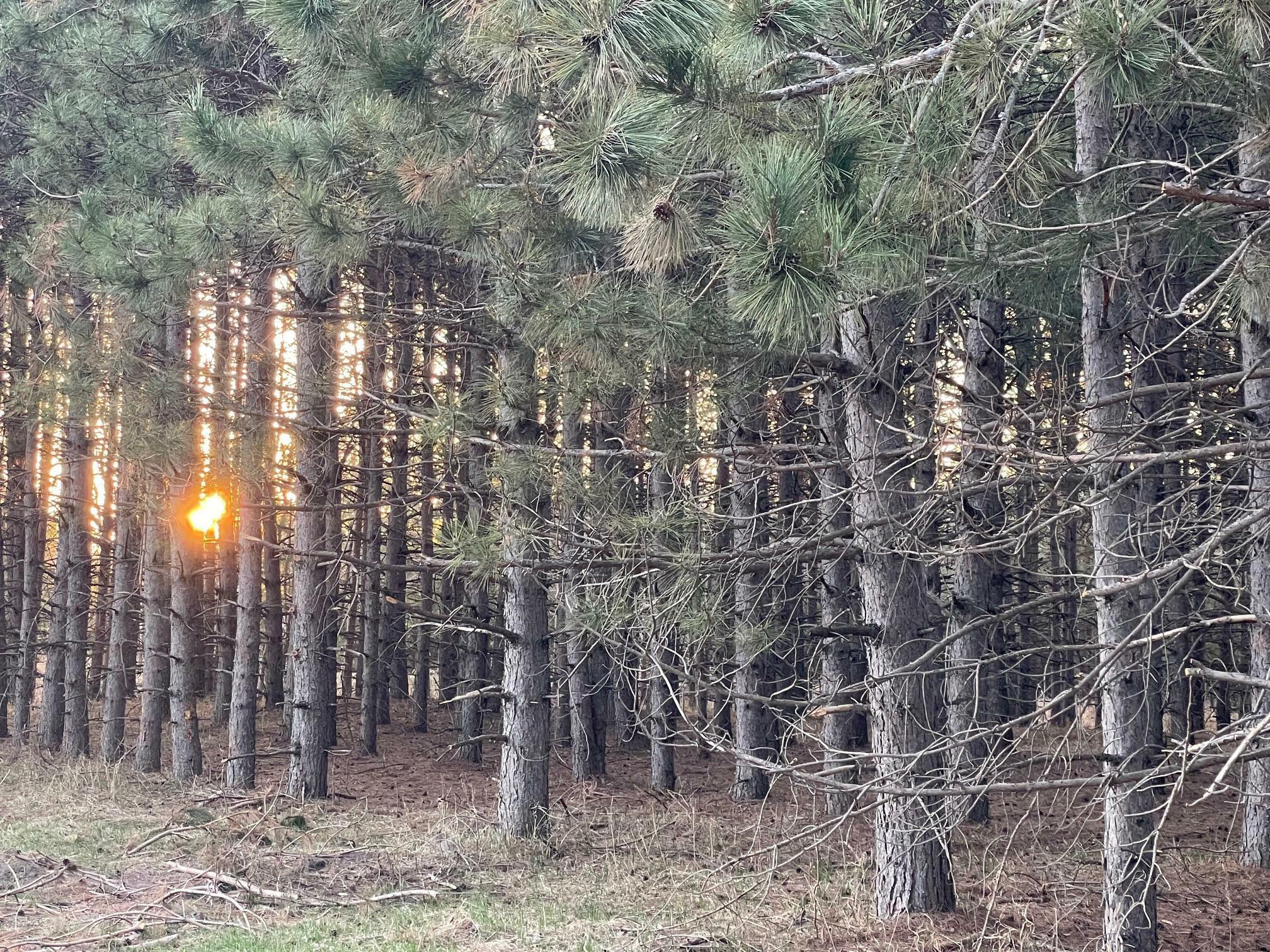 Property Photo: Xxxx Emerald Court NE MN 56319