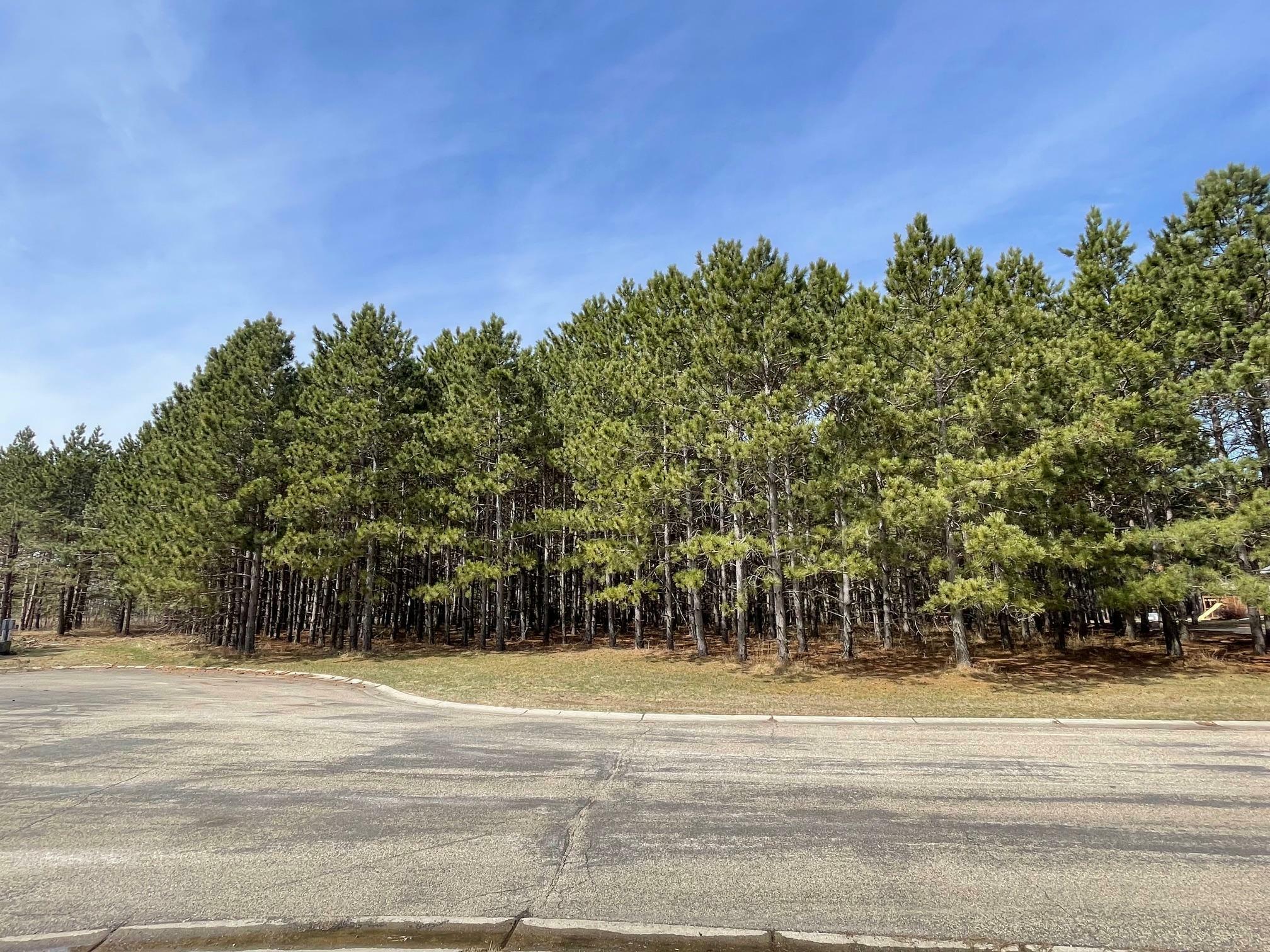 Property Photo:  Xxxx Emerald Court NE  MN 56319 