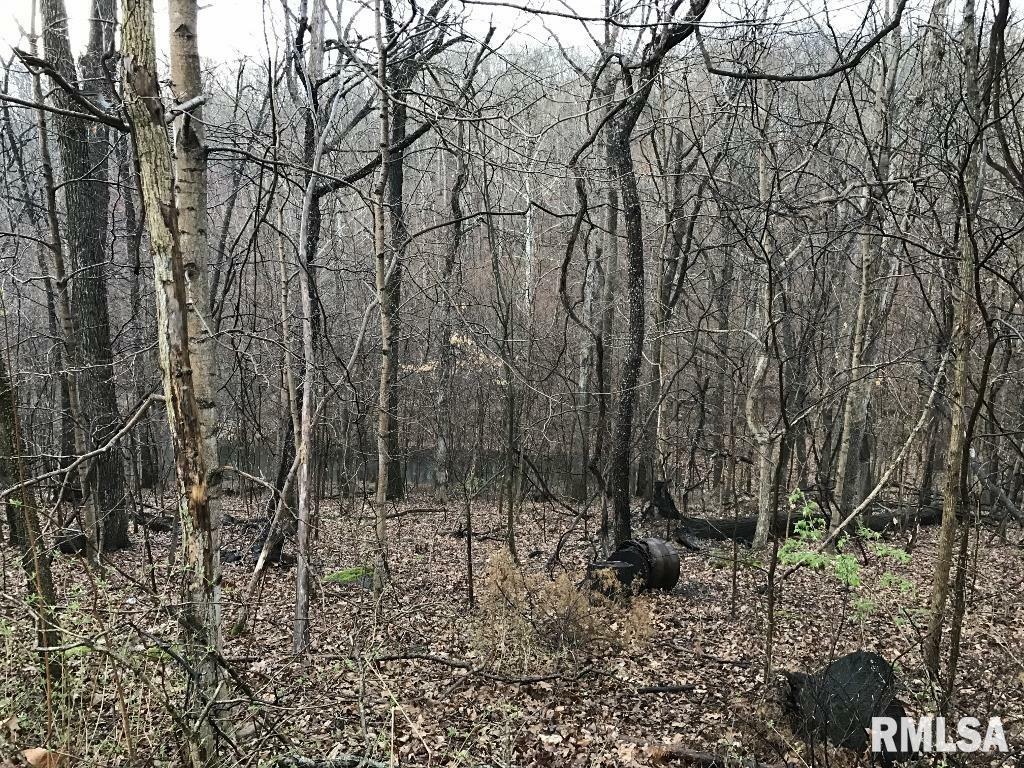 Property Photo: 00 Deer Ridge Road IL 62939