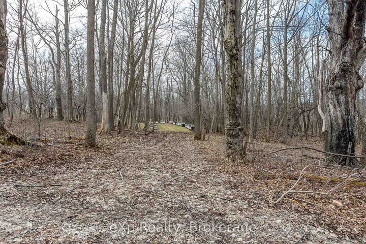 Property Photo: Ptlt 29 Con 1S, St. Vincent-Sydenham Townline N/A ON N0H 1B0