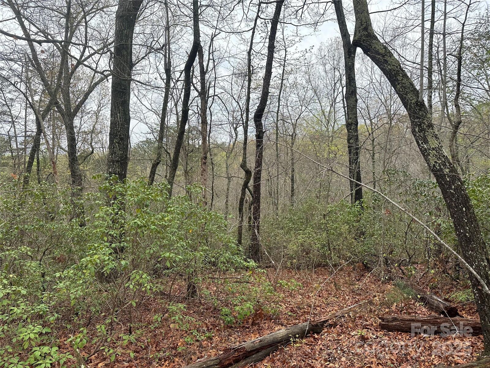 Property Photo: V/L Country Acres Drive NC 28762