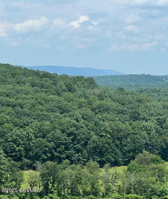 Property Photo: Smith Hill Road PA 17814