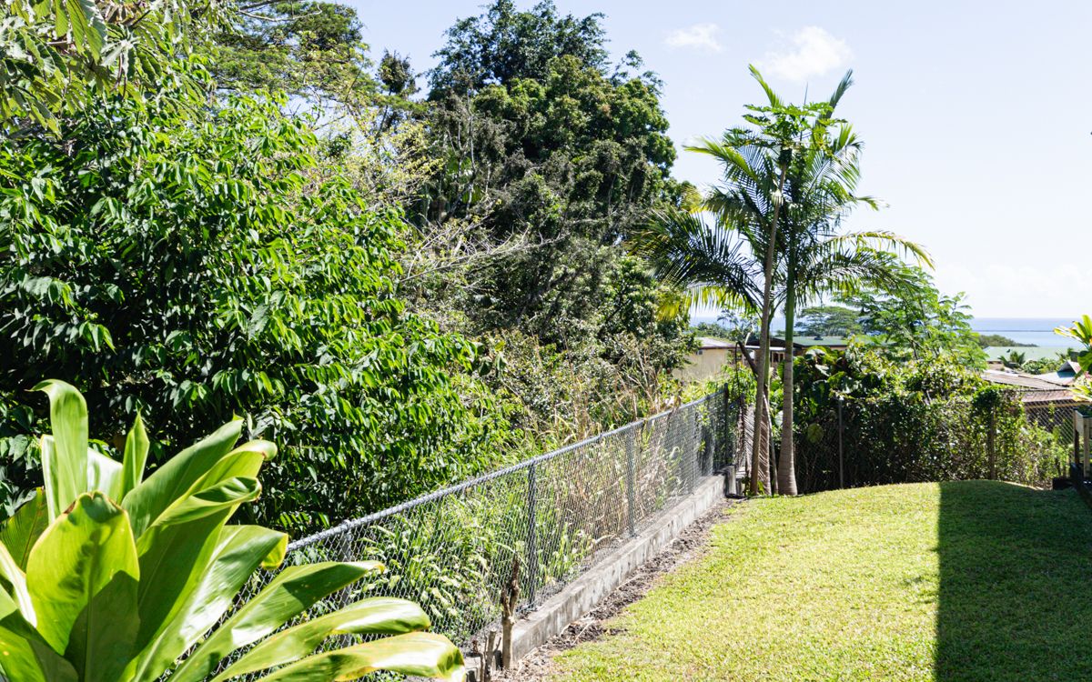 Property Photo: 188 Hale St 3C HI 96720