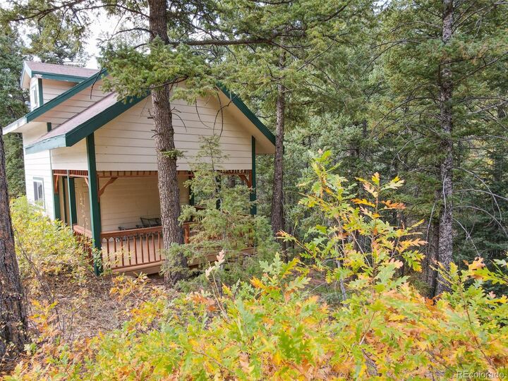 Property Photo:  4950 Little Turkey Creek Rd  CO 80926 