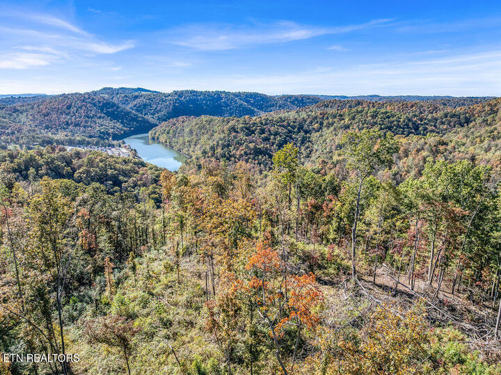Property Photo: Friendship Hollow Rd TN 37870