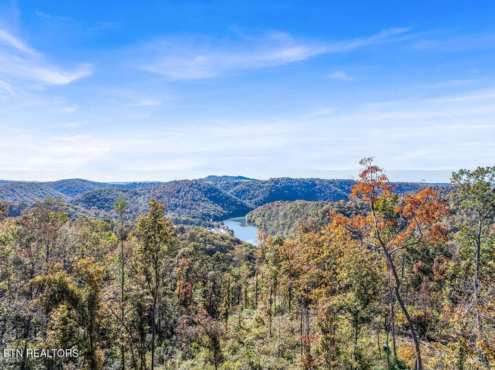 Property Photo:  Friendship Hollow Rd  TN 37870 
