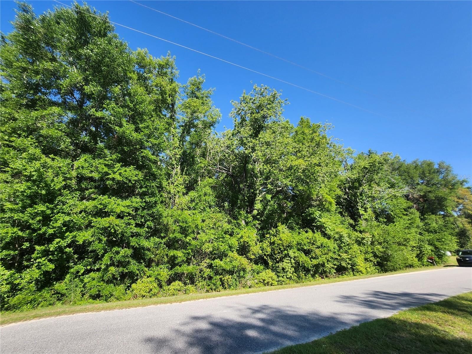 Property Photo: Tbd SW Yazoo Court FL 34431